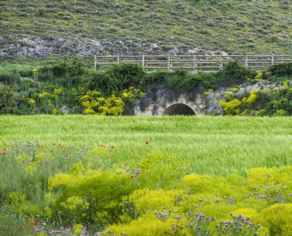 Vía Verde Valle del Eresma