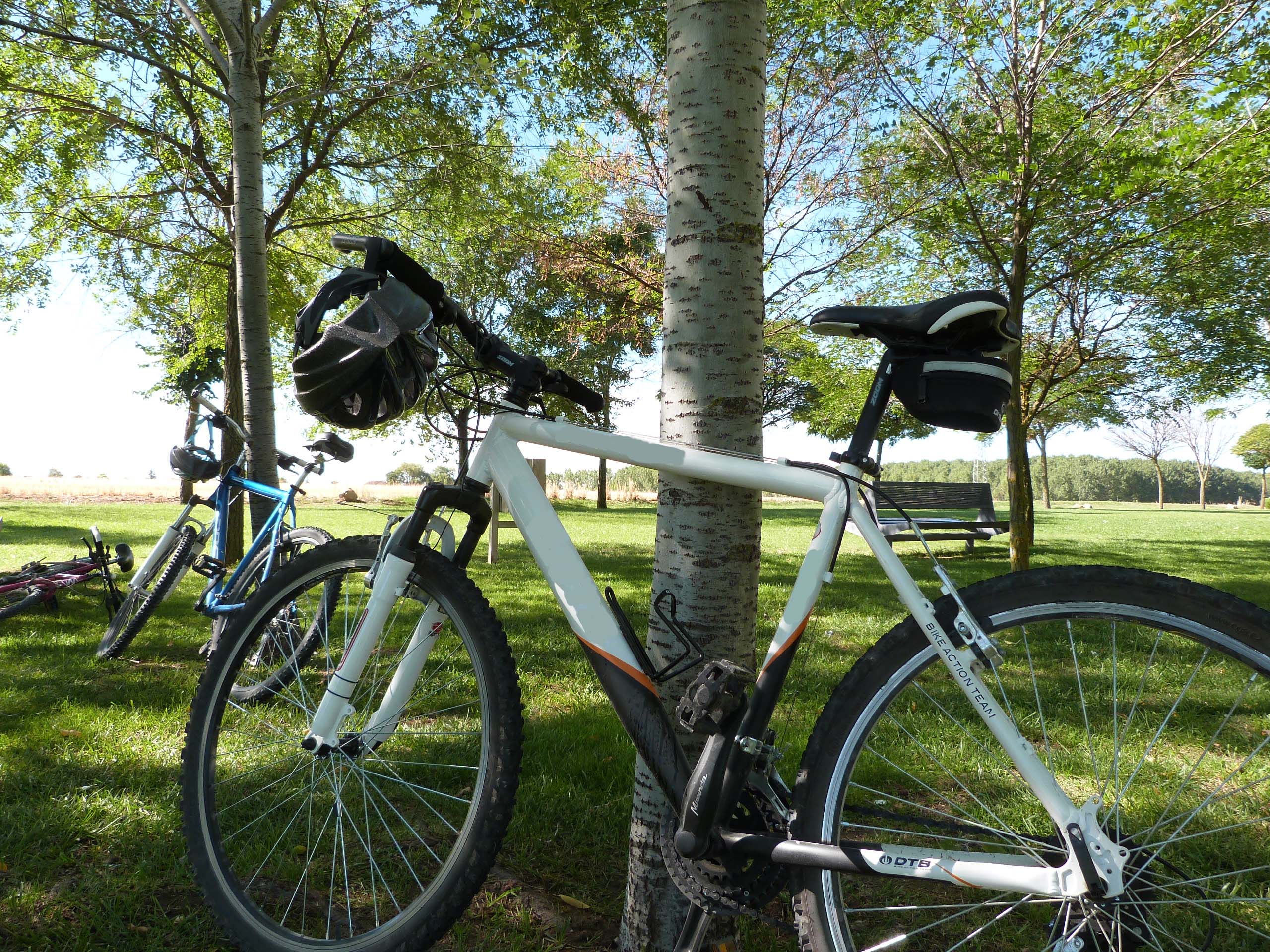 Bicis de montaña