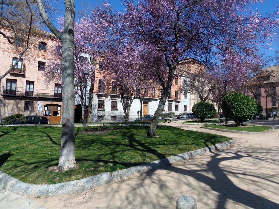 Plaza de la Merced. Donde estuvo ubicada la antigua sinagoga vieja