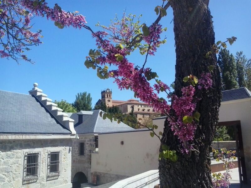 Casa Moneda - Primavera