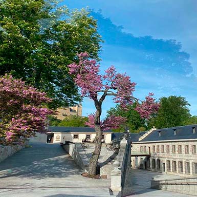 Primavera en Segovia