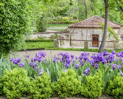 Primavera en el Jardin del Rey