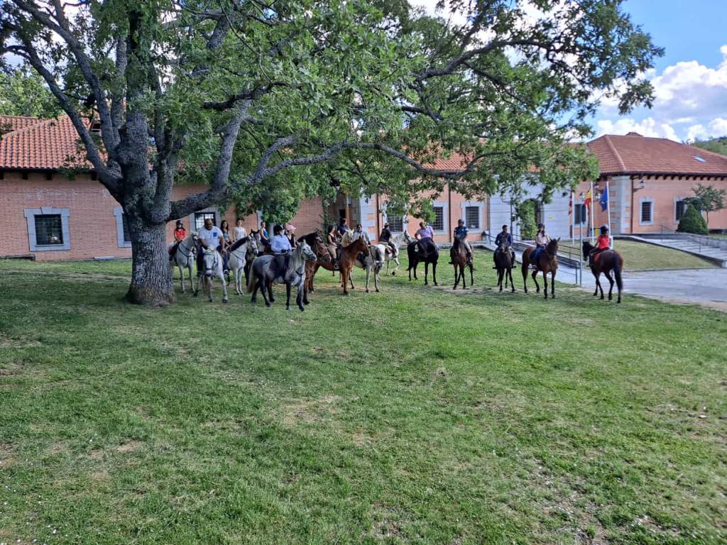 Rutas a caballo