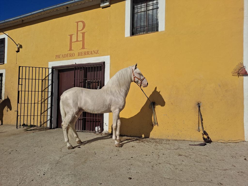 Rutas a caballo