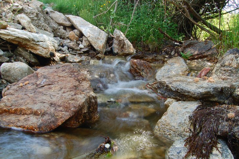Arroyo de la Pedriza. Navas de Riofrío