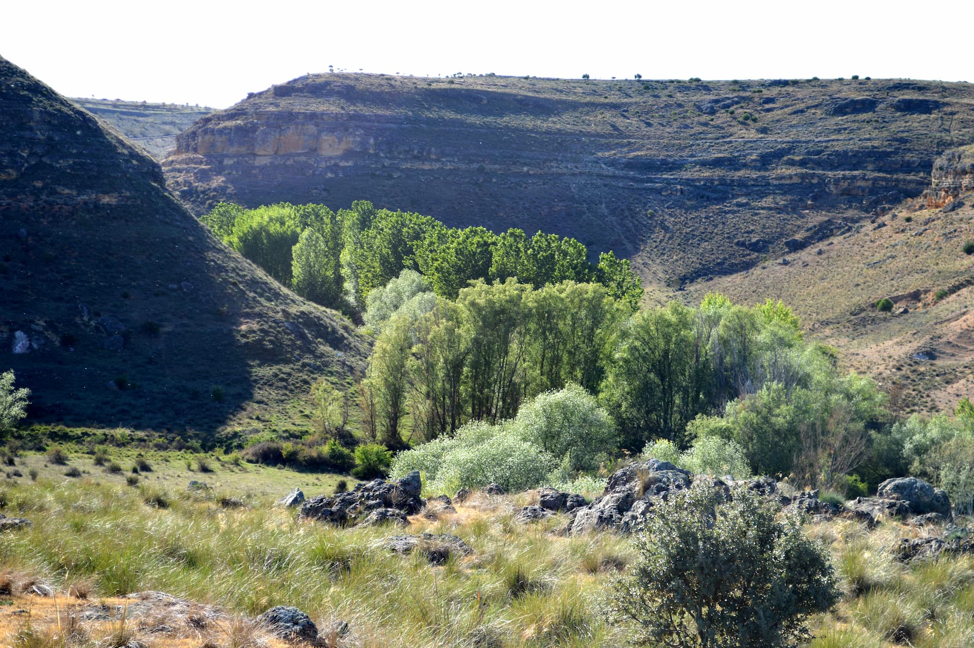 Naturaleza