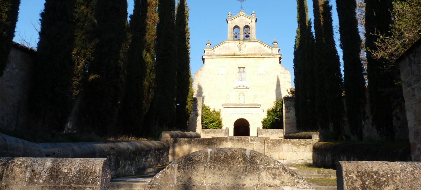 Domingo 8 de marzo. Comienza el V Ciclo de Segovia con Alma