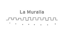La Muralla de Segovia gris