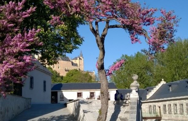 Moneda primavera