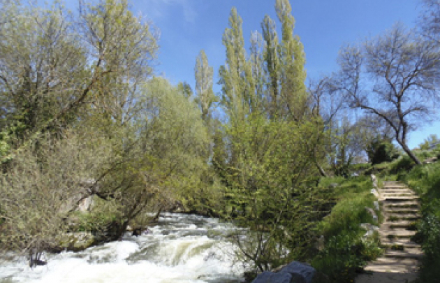 Senda de los molinos
