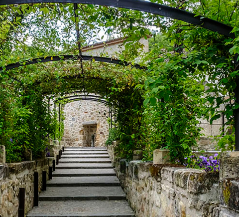 Jardín del Rey