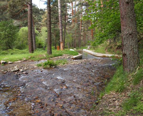 azud 2011 3.jpg