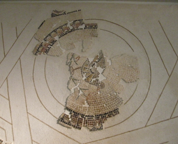 Museo Segovia - Exposiciones