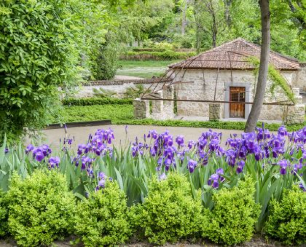 Primavera en el Jardin del Rey