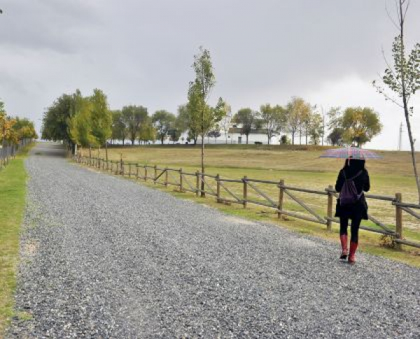 Otoño en la Vía Verde Valle del Eresma