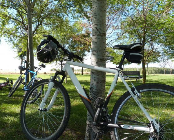 Bicis de montaña