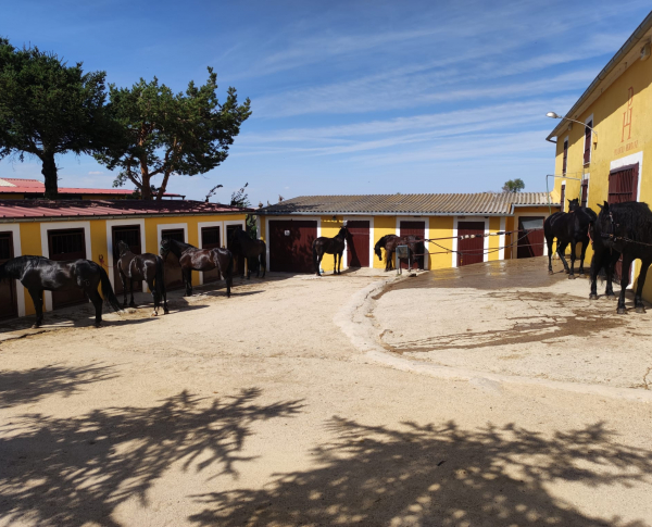 Rutas a caballo