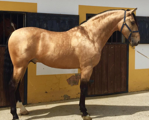 Rutas a caballo