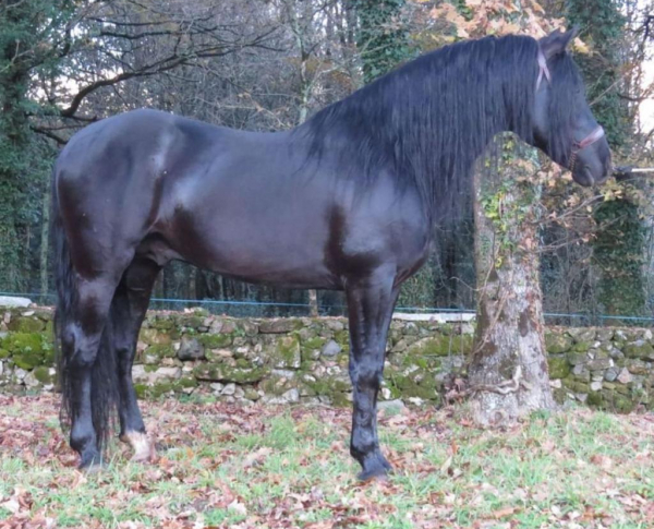 Rutas a caballo