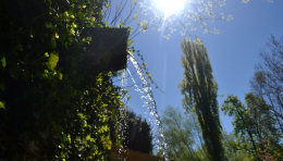 Fuente en la Alameda del Parral