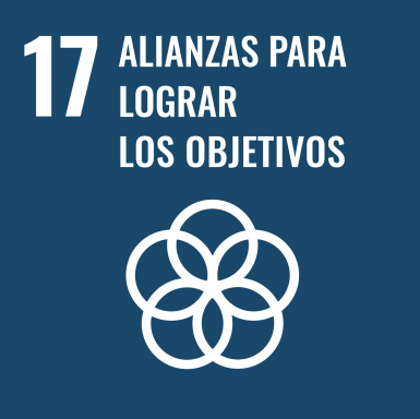 17 Alianzas para lograr los objetivos