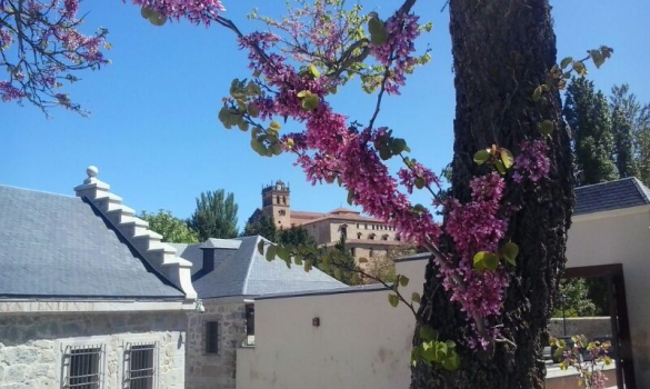 Casa Moneda - Primavera